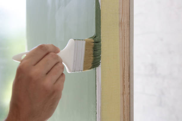 Best Basement Mold Removal  in Gilbert, AZ