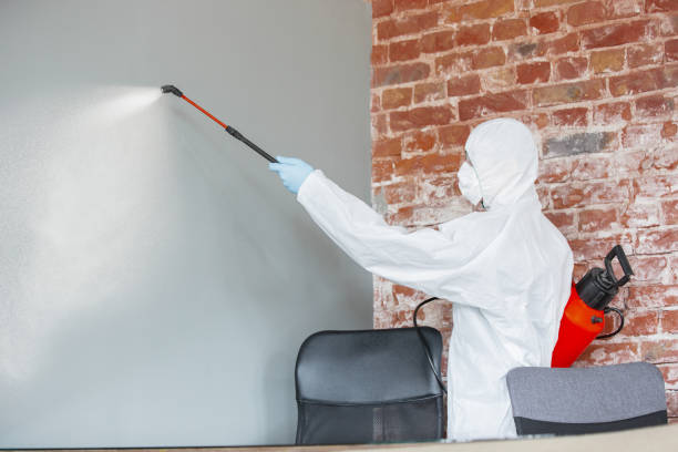 Best HVAC Mold Inspection and Cleaning  in Gilbert, AZ