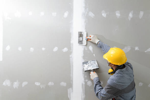 Best Comprehensive Air Testing for Mold Contaminants  in Gilbert, AZ