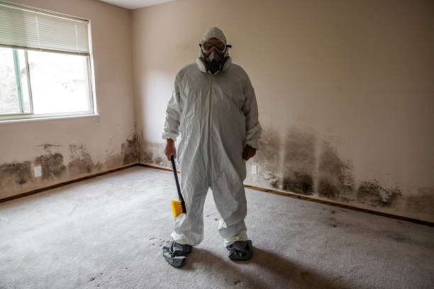 Mold Remediation for Rental Properties in Gilbert, AZ