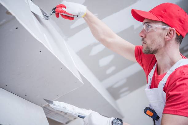Best Real Estate Mold Inspection  in Gilbert, AZ